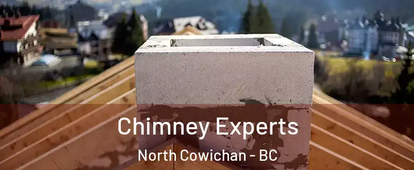  Chimney Experts North Cowichan - BC