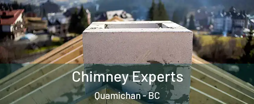  Chimney Experts Quamichan - BC