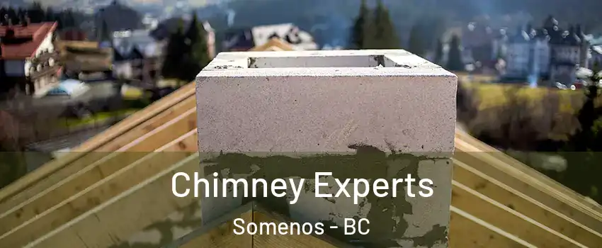 Chimney Experts Somenos - BC