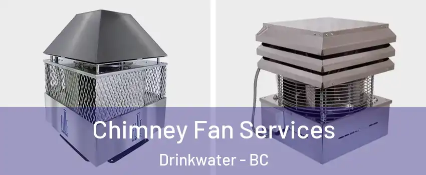  Chimney Fan Services Drinkwater - BC