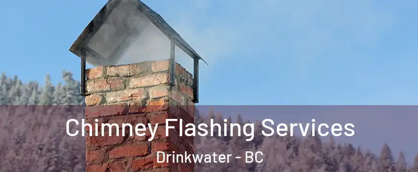  Chimney Flashing Services Drinkwater - BC