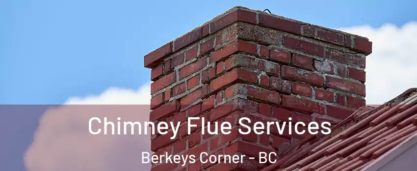  Chimney Flue Services Berkeys Corner - BC