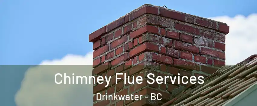  Chimney Flue Services Drinkwater - BC