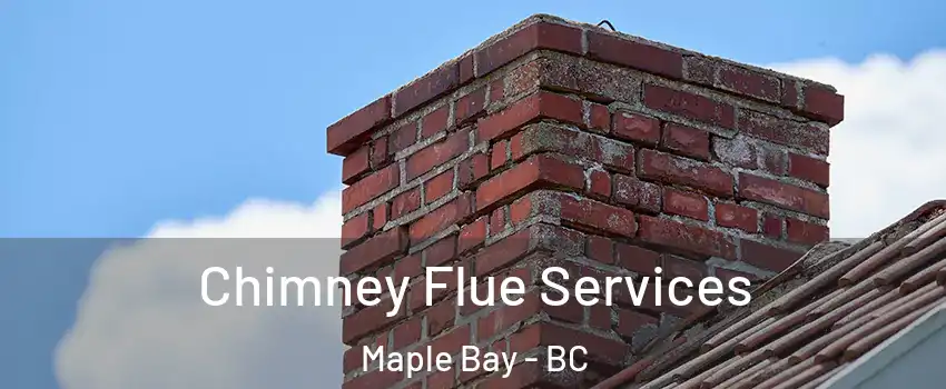  Chimney Flue Services Maple Bay - BC