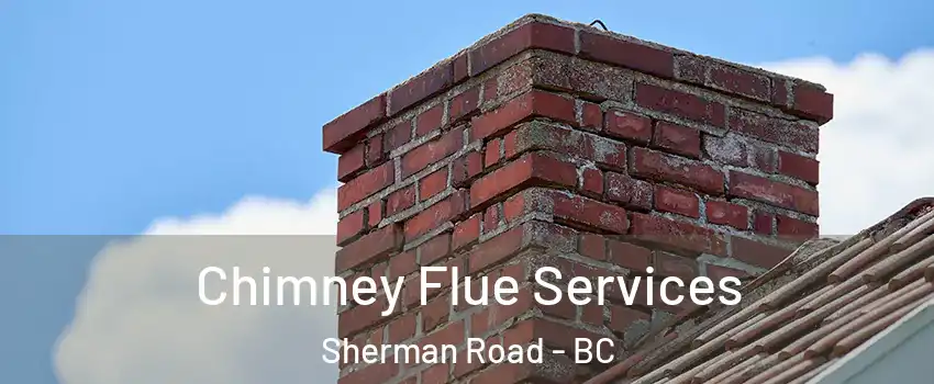  Chimney Flue Services Sherman Road - BC