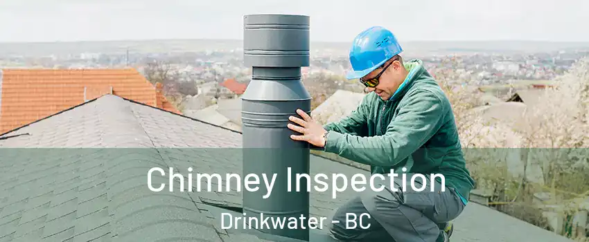  Chimney Inspection Drinkwater - BC