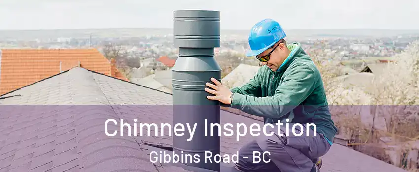  Chimney Inspection Gibbins Road - BC