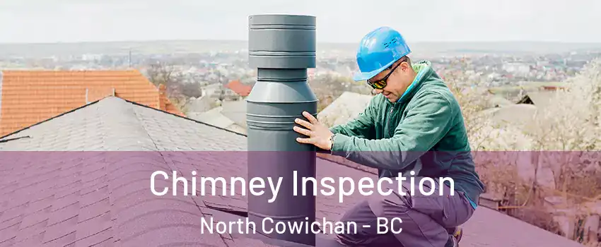  Chimney Inspection North Cowichan - BC