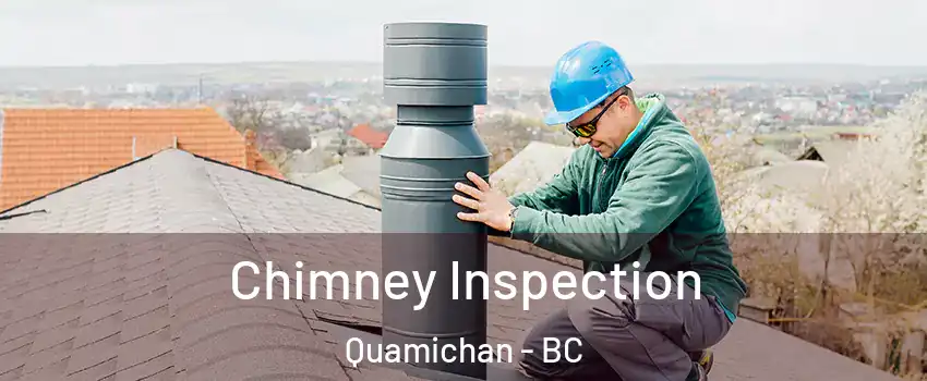 Chimney Inspection Quamichan - BC