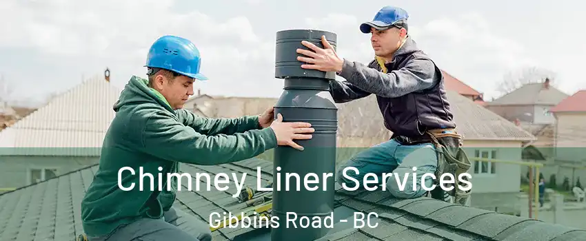  Chimney Liner Services Gibbins Road - BC