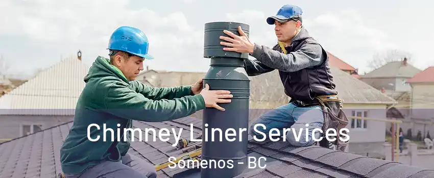  Chimney Liner Services Somenos - BC