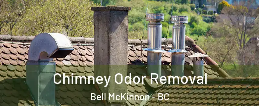  Chimney Odor Removal Bell McKinnon - BC