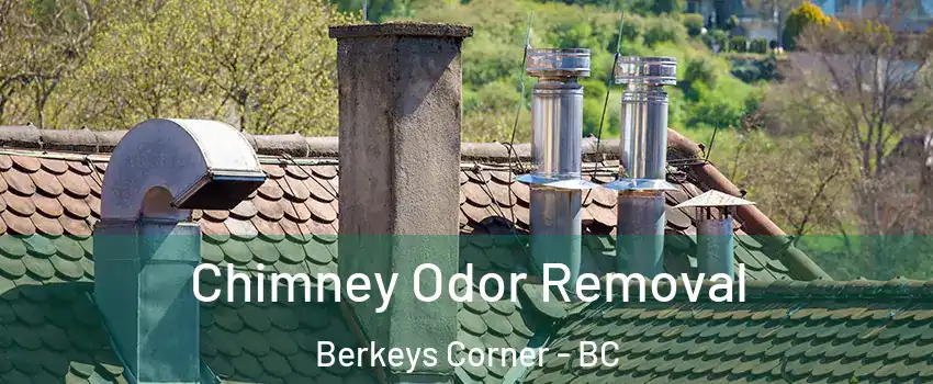  Chimney Odor Removal Berkeys Corner - BC