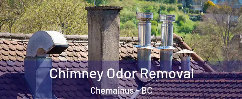 Chimney Odor Removal Chemainus - BC