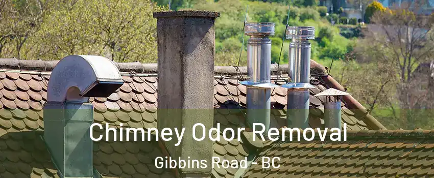  Chimney Odor Removal Gibbins Road - BC