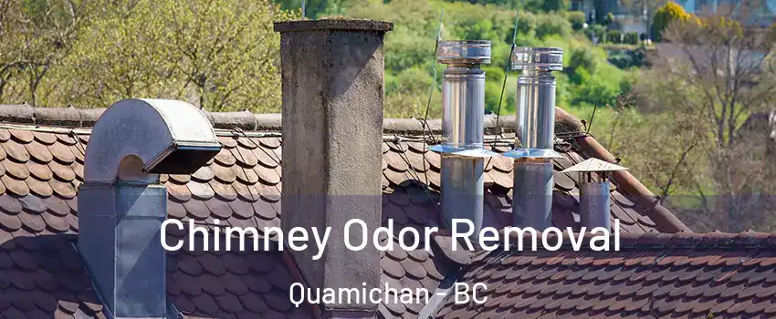  Chimney Odor Removal Quamichan - BC