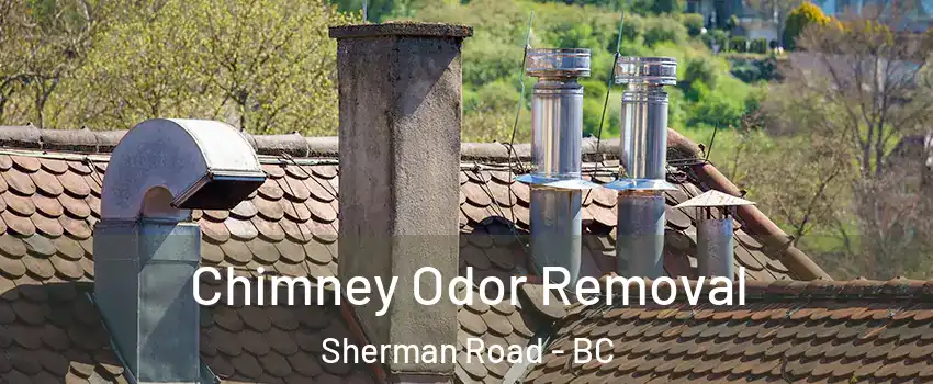  Chimney Odor Removal Sherman Road - BC
