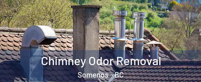  Chimney Odor Removal Somenos - BC