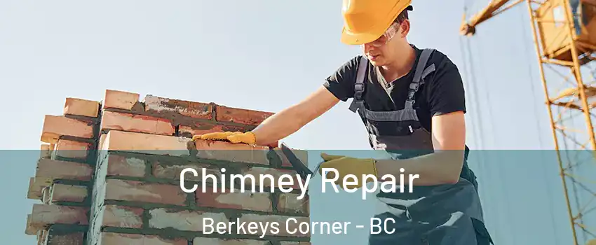  Chimney Repair Berkeys Corner - BC