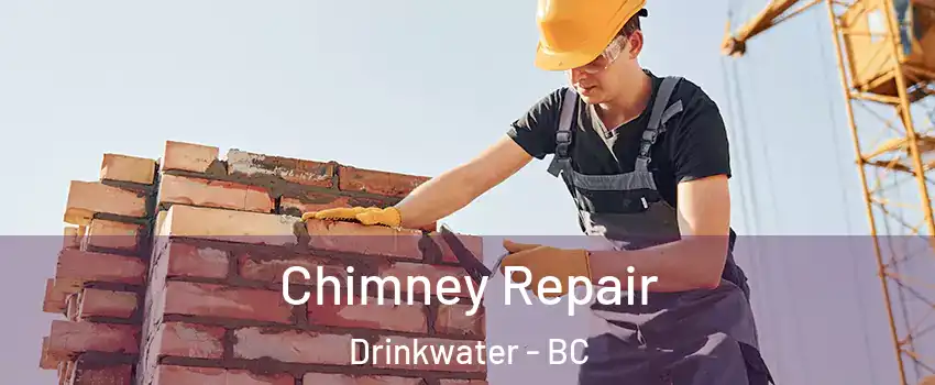  Chimney Repair Drinkwater - BC