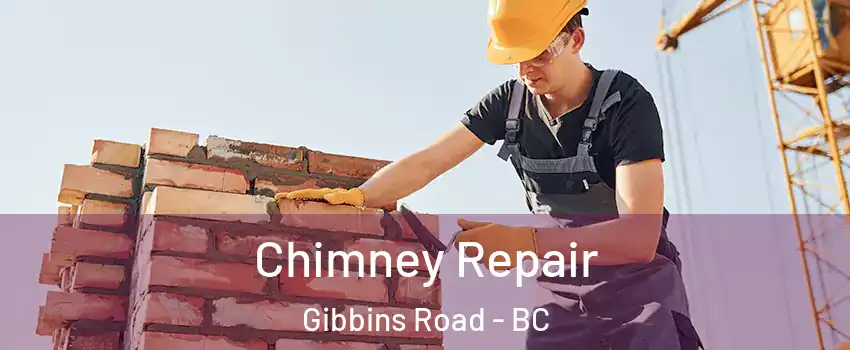  Chimney Repair Gibbins Road - BC