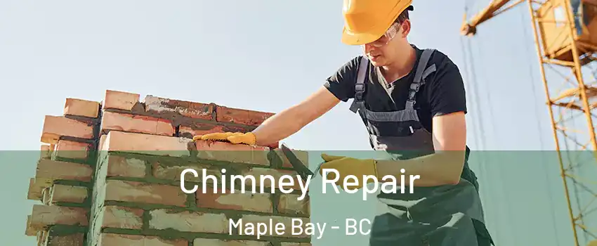  Chimney Repair Maple Bay - BC