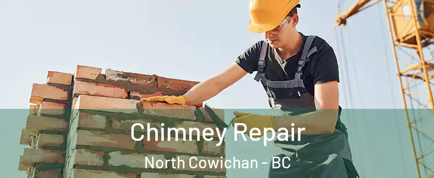  Chimney Repair North Cowichan - BC