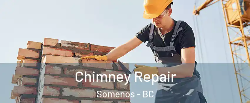  Chimney Repair Somenos - BC