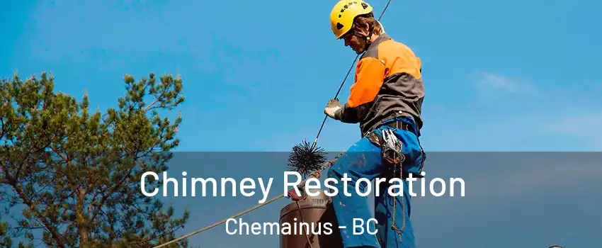  Chimney Restoration Chemainus - BC