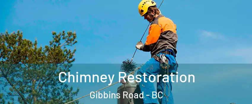  Chimney Restoration Gibbins Road - BC