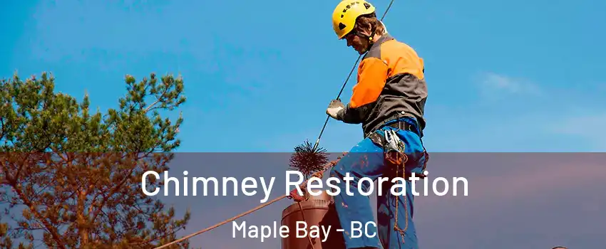  Chimney Restoration Maple Bay - BC