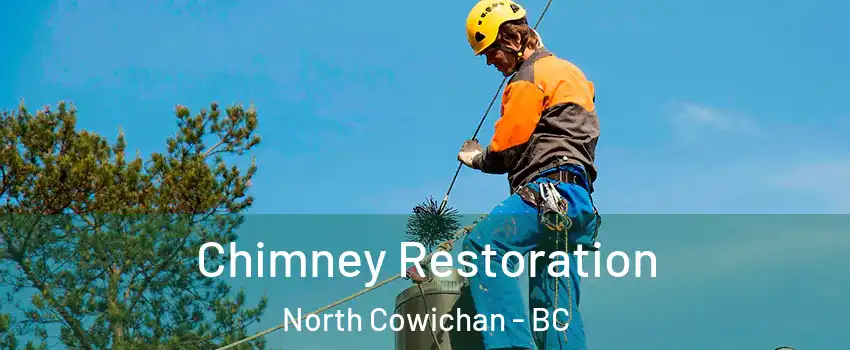  Chimney Restoration North Cowichan - BC