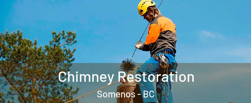  Chimney Restoration Somenos - BC