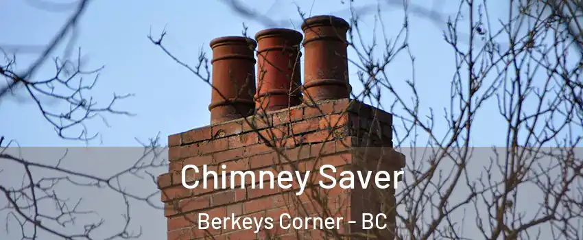  Chimney Saver Berkeys Corner - BC