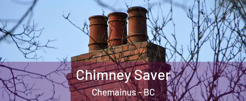  Chimney Saver Chemainus - BC