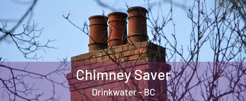  Chimney Saver Drinkwater - BC