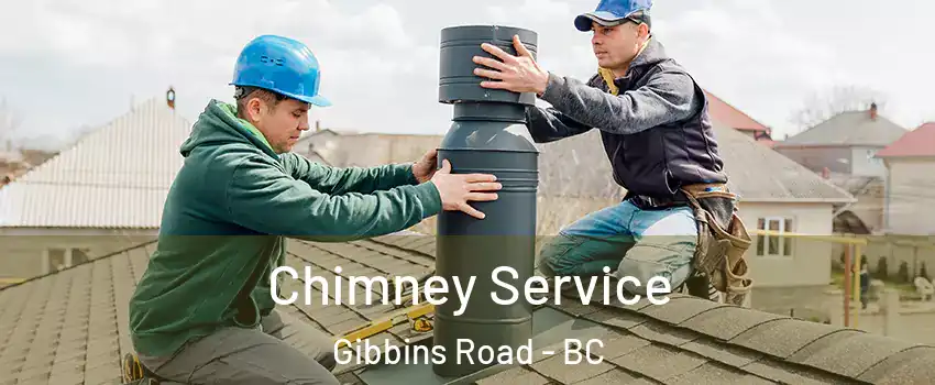  Chimney Service Gibbins Road - BC