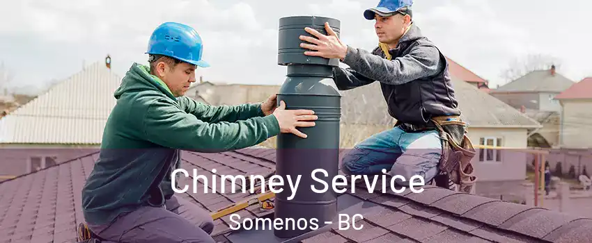  Chimney Service Somenos - BC