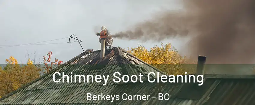  Chimney Soot Cleaning Berkeys Corner - BC