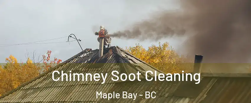  Chimney Soot Cleaning Maple Bay - BC