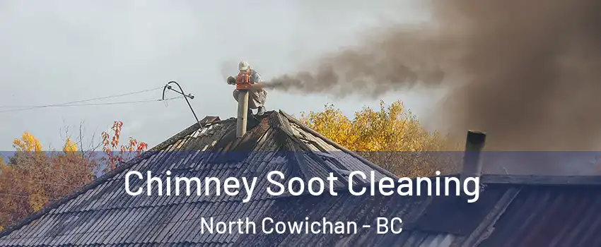  Chimney Soot Cleaning North Cowichan - BC