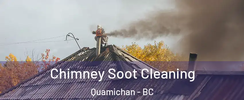  Chimney Soot Cleaning Quamichan - BC