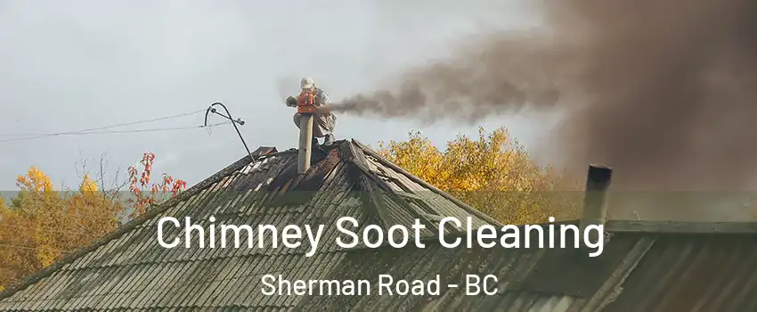  Chimney Soot Cleaning Sherman Road - BC