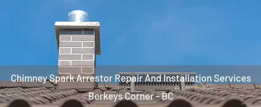  Chimney Spark Arrestor Repair And Installation Services Berkeys Corner - BC