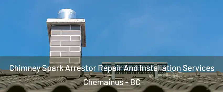  Chimney Spark Arrestor Repair And Installation Services Chemainus - BC