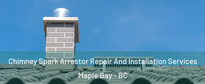  Chimney Spark Arrestor Repair And Installation Services Maple Bay - BC