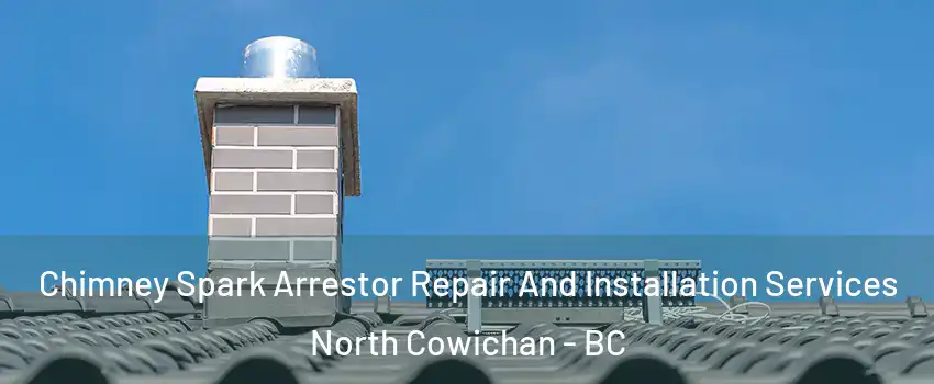  Chimney Spark Arrestor Repair And Installation Services North Cowichan - BC