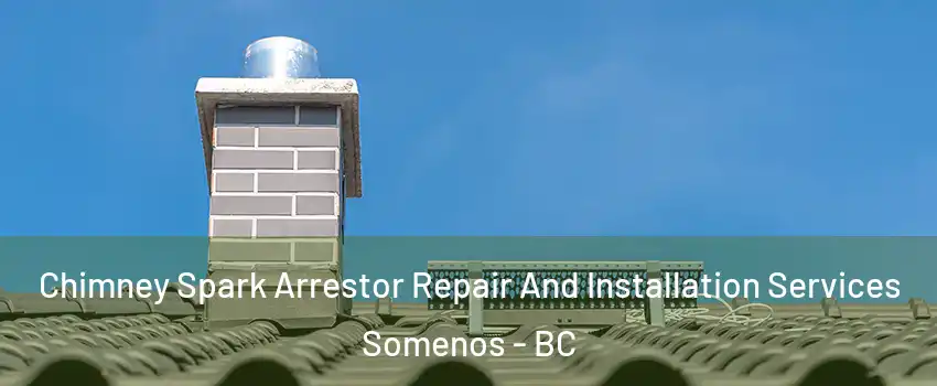  Chimney Spark Arrestor Repair And Installation Services Somenos - BC
