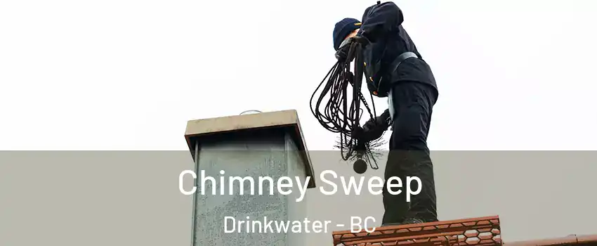  Chimney Sweep Drinkwater - BC