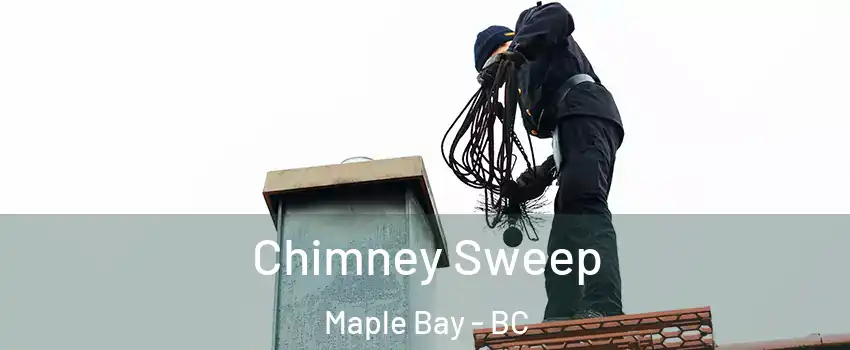  Chimney Sweep Maple Bay - BC